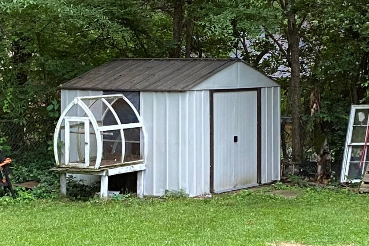 Stunning pigeon loft